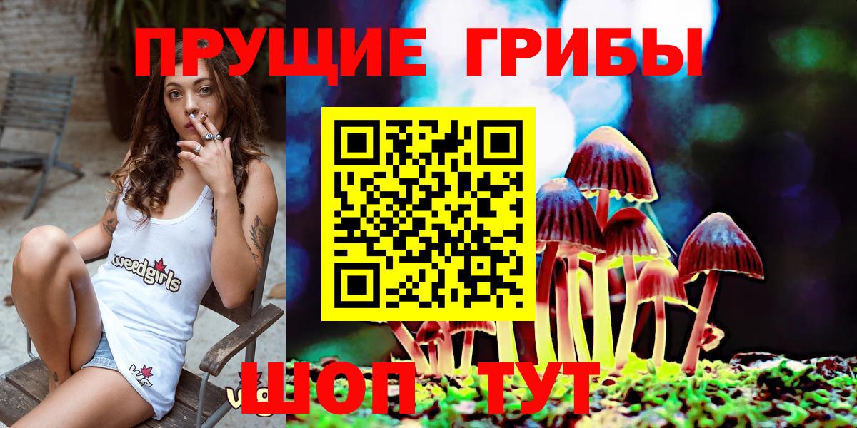 Псилоцибиновые грибы GOLDEN TEACHER Калуга