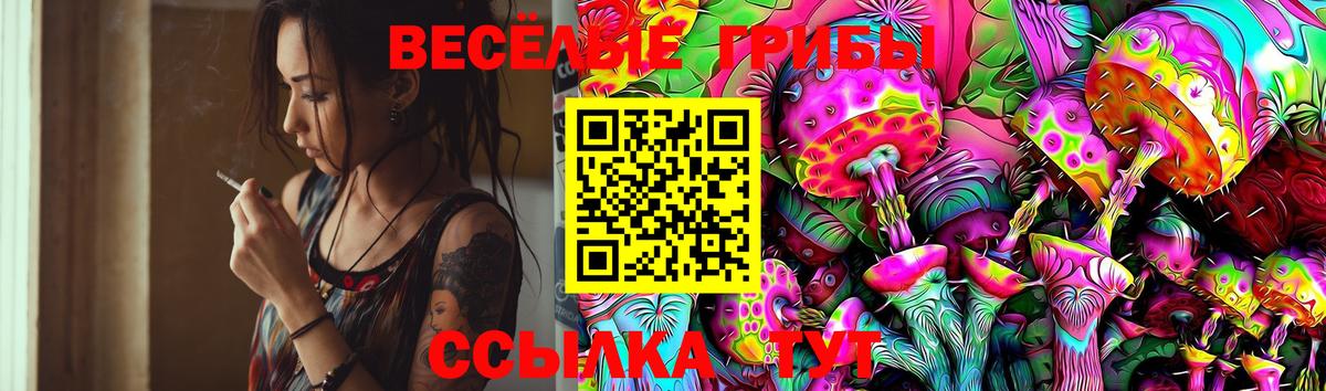 где найти наркотики  Вход с VPN  Калуга  Галлюциногенные грибы Cubensis 